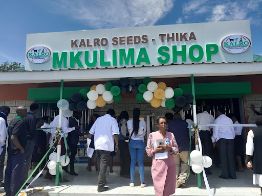 Enhancing Agricultural Resilience: The Case for Embracing KALRO Seeds in Kenya