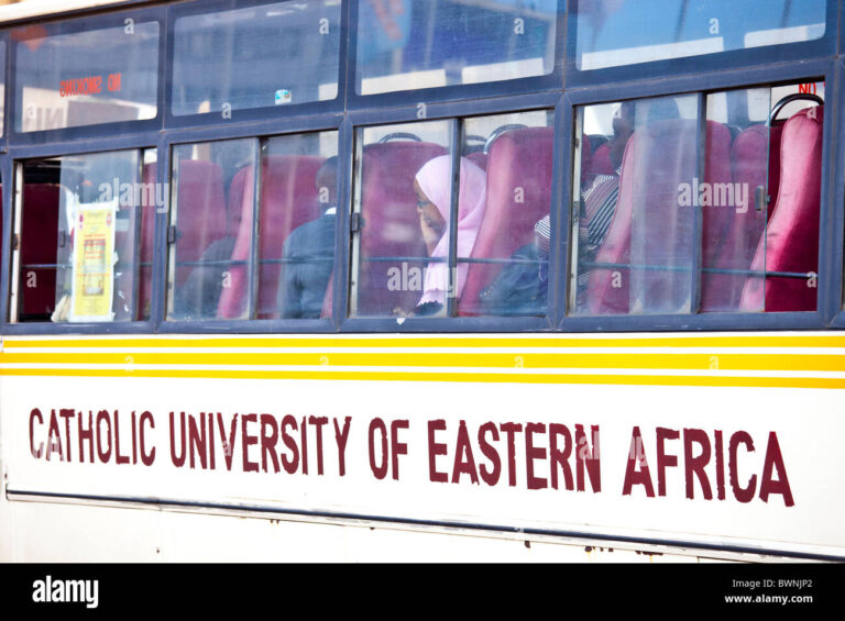 ICT Support Officer at Catholic University of Eastern Africa